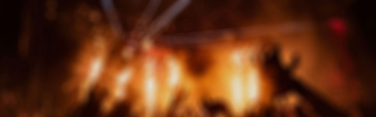 开通会员全站免费下载