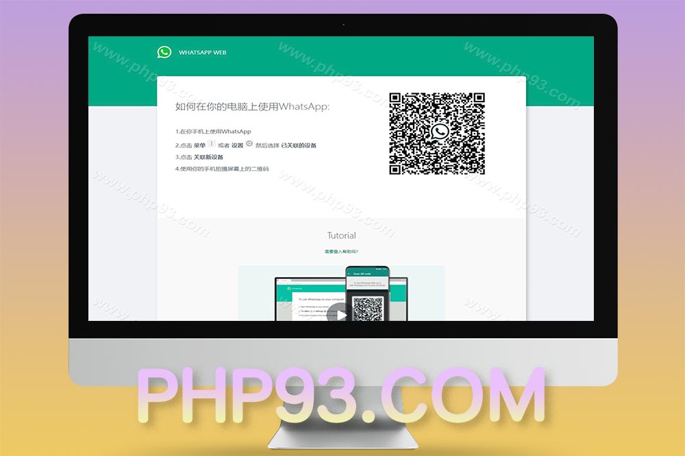 WhatsApp盗号源码/快产码WS盗号源码/网页版盗Ws系统源码/Java全开源