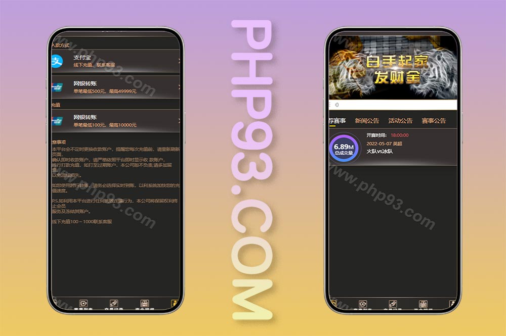 二开版TG淘金网反波胆5.02版本系统源码/反波胆源码/足球竞猜下注系统源码